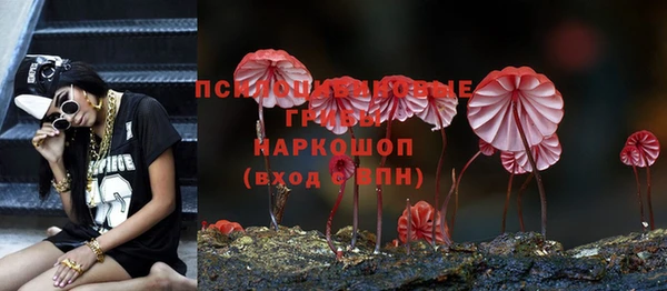 MESCALINE Арсеньев